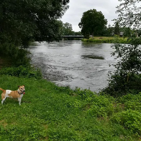 Miloute En Dordogne *